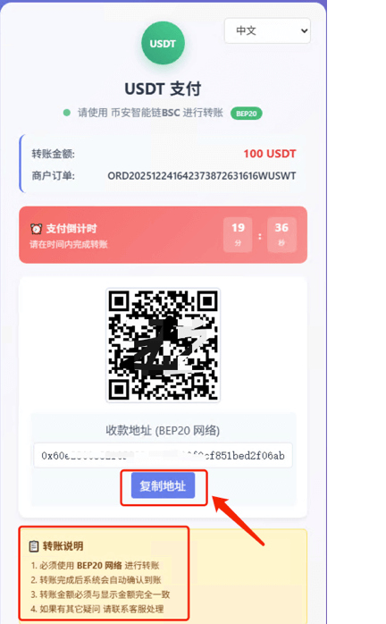 极豹代理使用教程截图